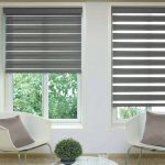 Reagan-Platinum-Duplex-Blind